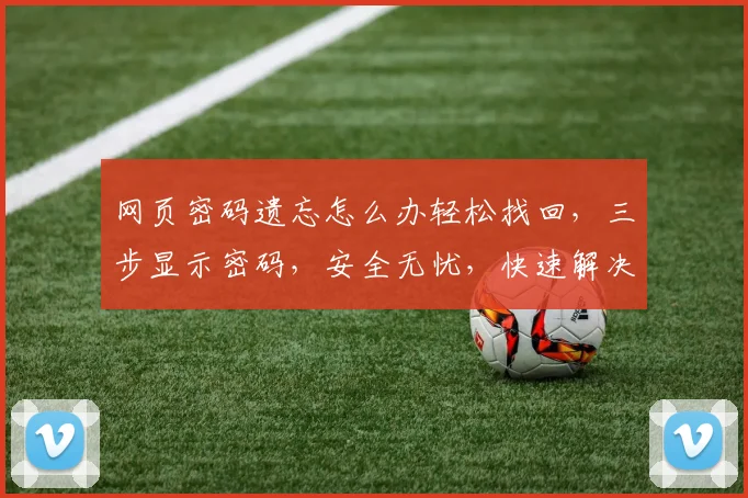网页密码遗忘怎么办轻松找回，三步显示密码，安全无忧，快速解决
