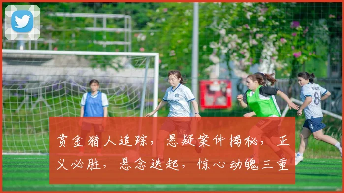 赏金猎人追踪，悬疑案件揭秘，正义必胜，悬念迭起，惊心动魄三重挑战