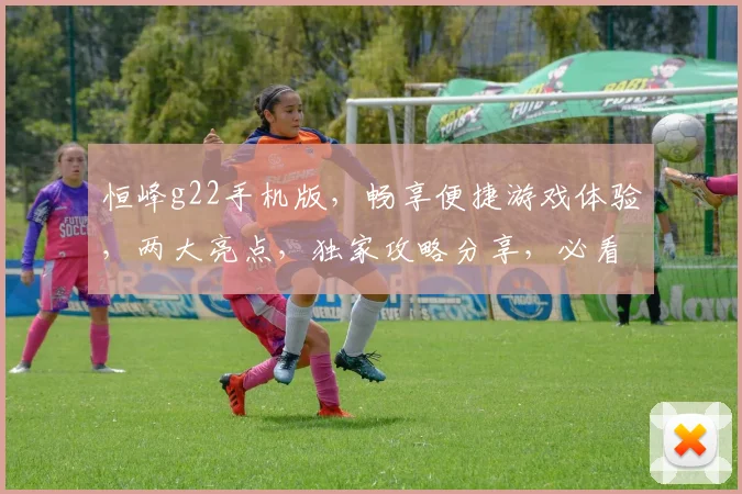 恒峰g22手机版，畅享便捷游戏体验，两大亮点，独家攻略分享，必看