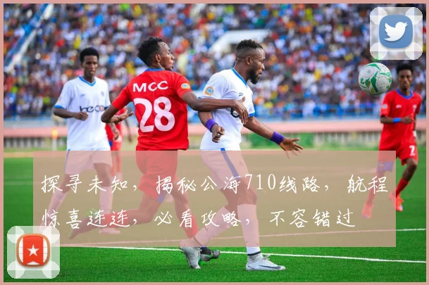 探寻未知，揭秘公海710线路，航程惊喜连连，必看攻略，不容错过